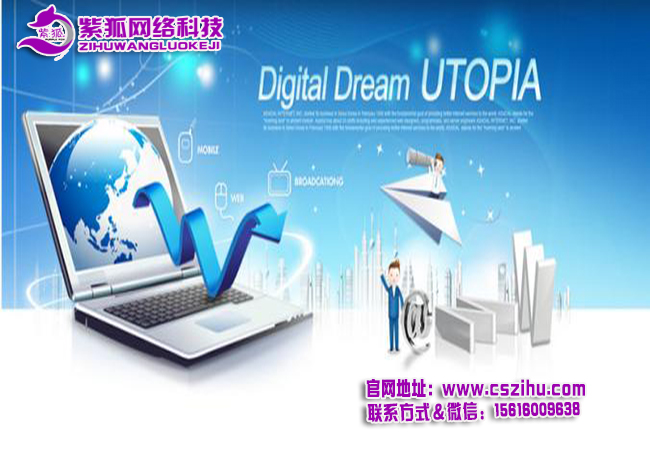 长沙网站优化.jpg