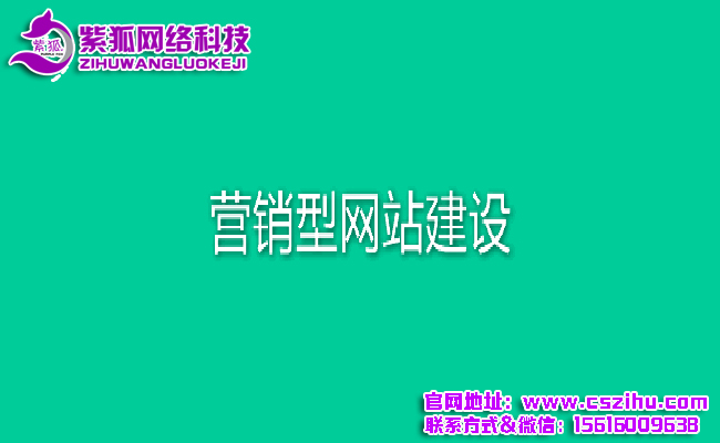 长沙网站建设公司1  .jpg