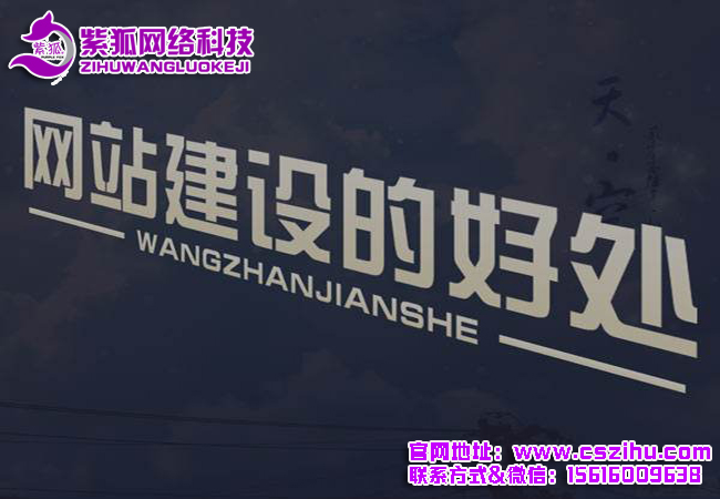 长沙网站设计1.jpg