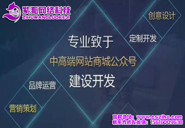 长沙网站建设2.jpg