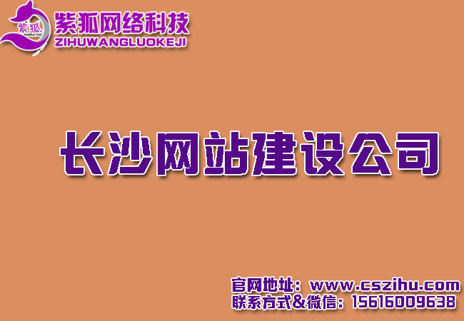 长沙网站建设公司  .jpg