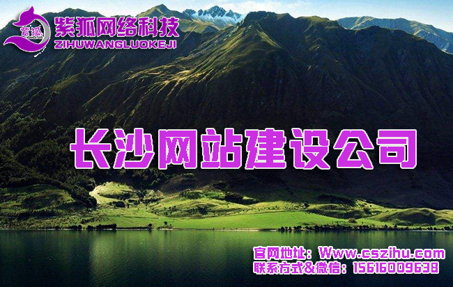 长沙网站建设公司  .jpg